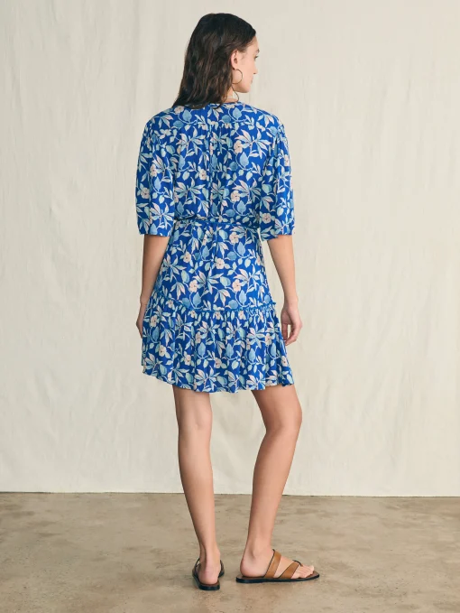 Orinda Mini Dress - Blue Ginger Floral